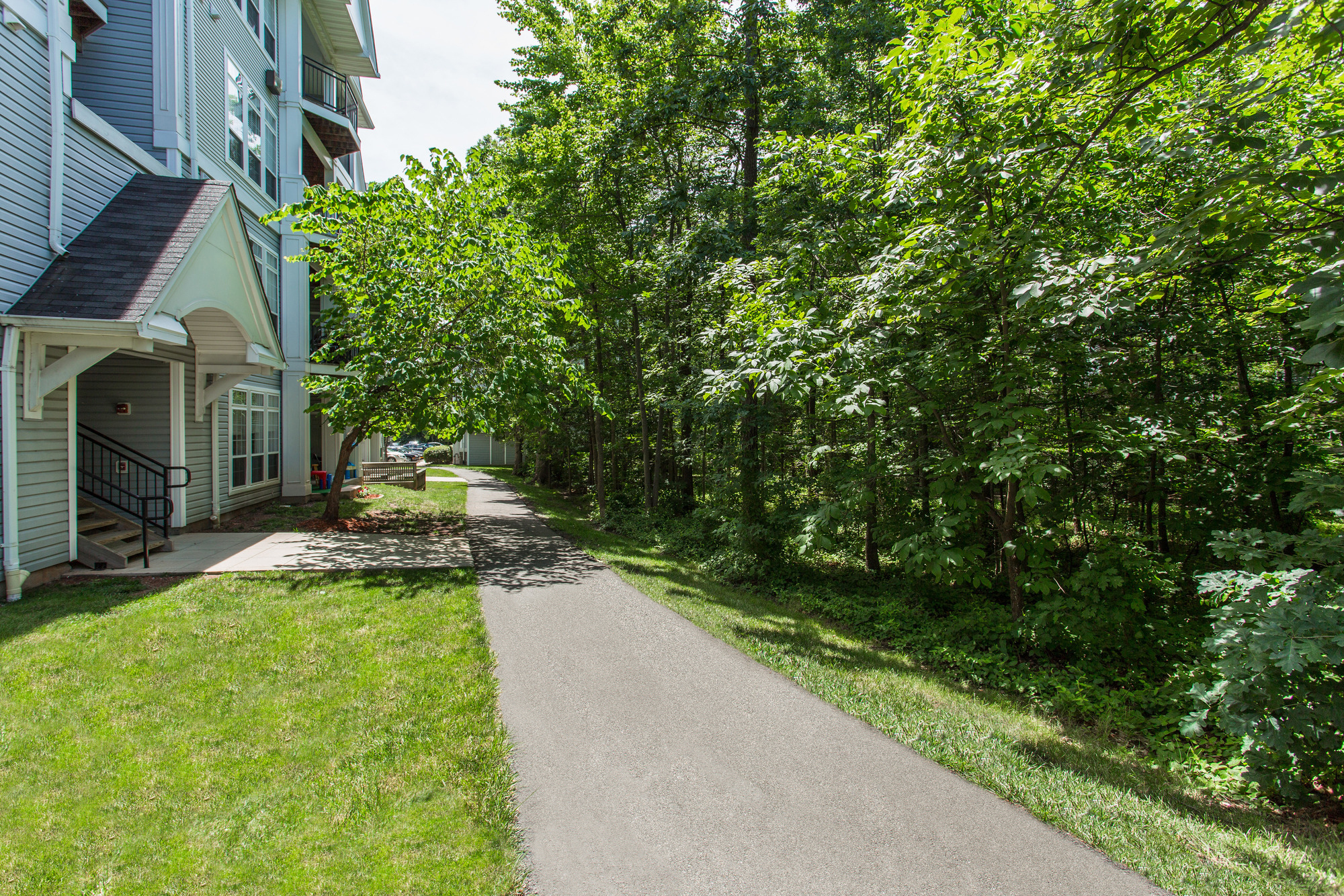 scenic wooded area with walking path next to apartment buildings - ashburn va luxury apartments